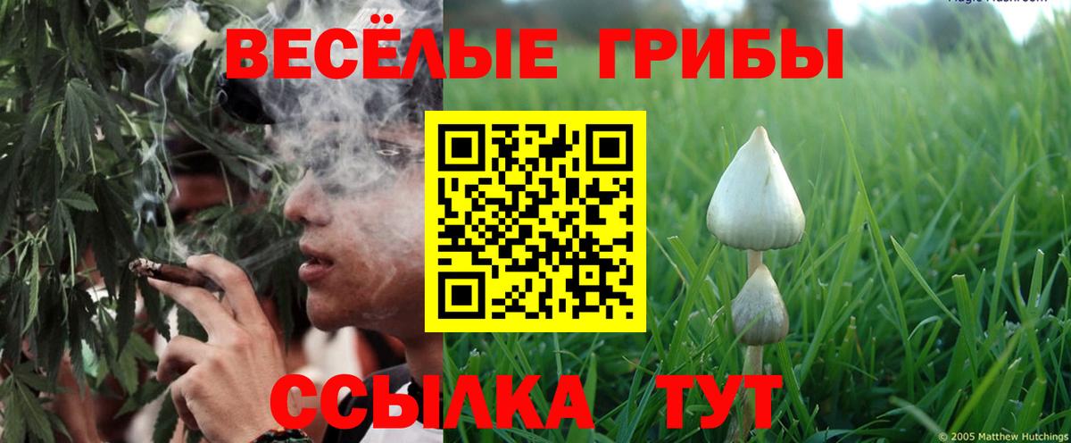 Новотроицк  Галлюциногенные грибы ЛСД  Вход с VPN 